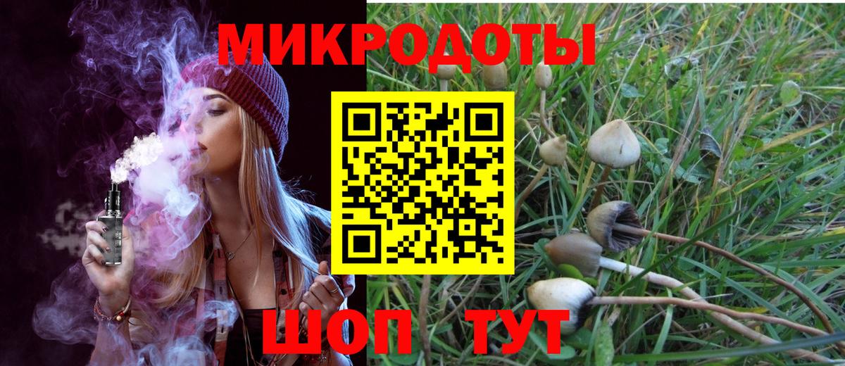 Псилоцибиновые грибы Magic Shrooms  Галлюциногенные грибы MAGIC MUSHROOMS  Балашиха  Вход с VPN 